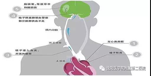 1623121697616400.jpg 微信图片_20210608111019.jpg