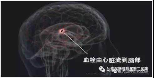1623121702784845.jpg 微信图片_20210608111022.jpg