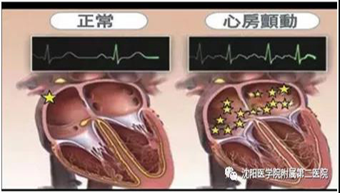 1623121729139257.jpg 微信图片_20210608111025.jpg