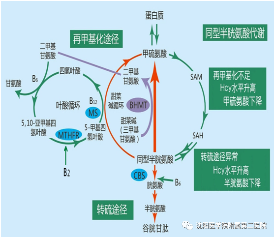 1627441177836429.png 微信图片_20210728105527.png