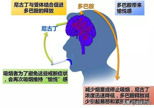1627610476298214.jpg 13.jpg
