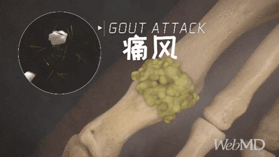微信图片_20210820183209.gif