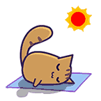 5.gif