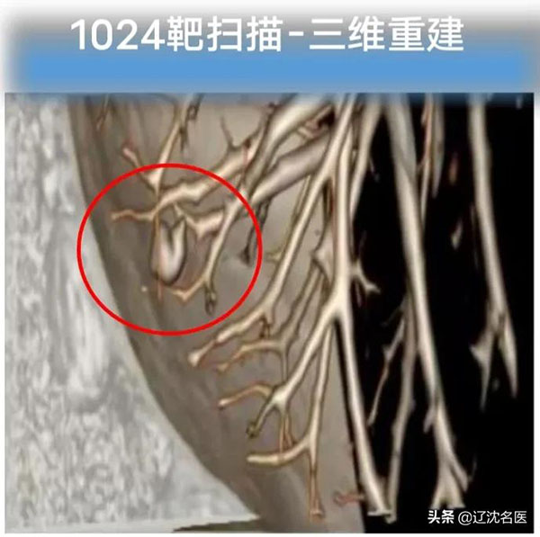 1637192066608581.jpg 微信图片_20211118072820.jpg